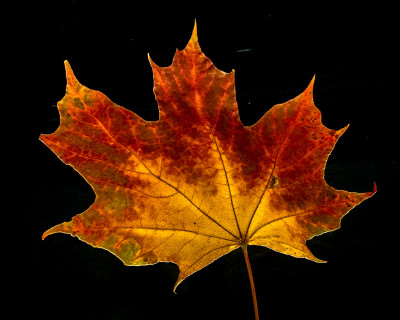 2025.11.147.01.45  iphone7 pro max uhd  karsten gander  