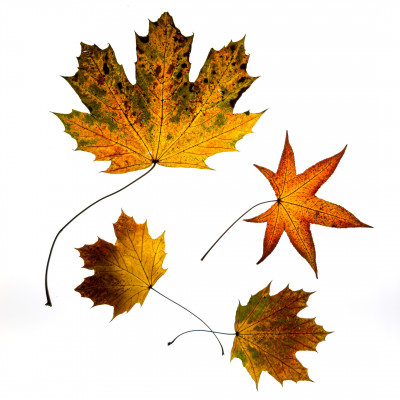 2025.11.147.06.47  iphone7 pro max uhd  karsten gander  