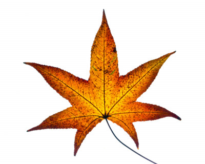 2025.11.147.09.53  iphone7 pro max uhd  karsten gander  