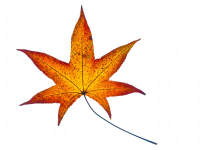 2025.11.147.10.30  iphone7 pro max uhd  karsten gander  