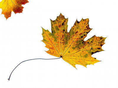 2025.11.147.11.56  iphone7 pro max uhd  karsten gander  