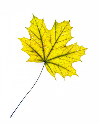 2025.11.147.12.59  iphone7 pro max uhd  karsten gander  