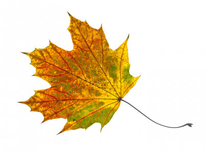 2025.11.147.16.08  iphone7 pro max uhd  karsten gander  