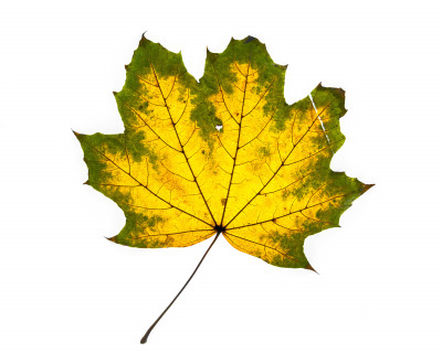 2025.11.147.16.45  iphone7 pro max uhd  karsten gander  