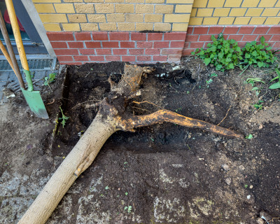 2025.04.046.20.15  iphone6 pro uhd    