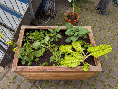 2025.05.096.58.55  iphone6 pro uhd    