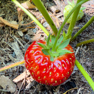 2025.06.066.03.49  iphone6 pro uhd    