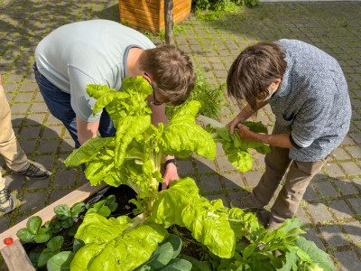 2025.06.066.15.48  iphone6 pro uhd    