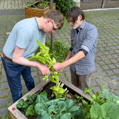 2025.06.066.17.11  iphone6 pro uhd    