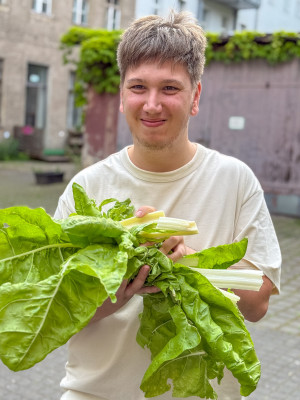 2025.06.066.17.50  iphone6 pro uhd    