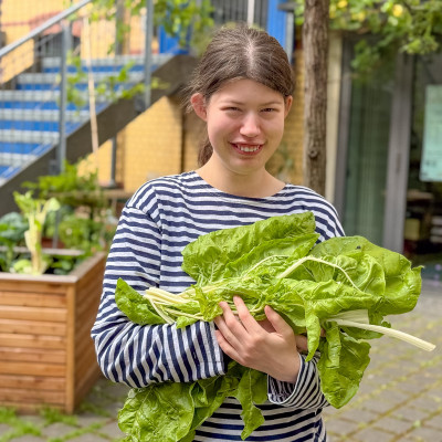 2025.06.066.21.23  iphone6 pro uhd    