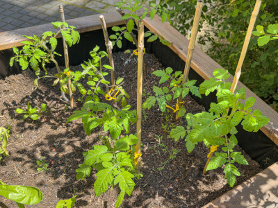 2025.06.133.48.32  iphone6 pro uhd    