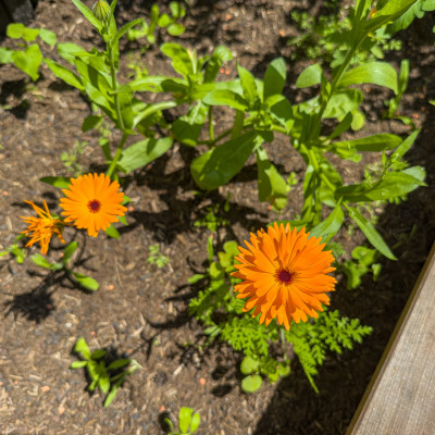 2025.06.133.48.43  iphone6 pro uhd    