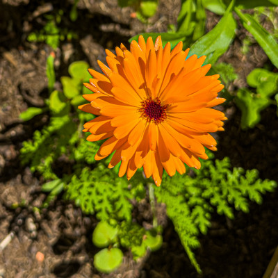 2025.06.13 13.48.43  iphone 16 pro uhd    