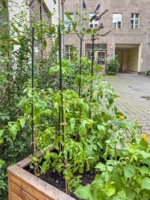 2025.07.116.57.34  iphone6 pro uhd    