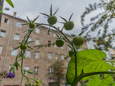 2025.08.297.15.59  iphone6 pro uhd    