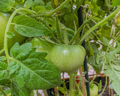 2025.08.297.16.55  iphone6 pro uhd    