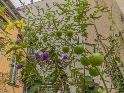 2025.08.297.17.48  iphone6 pro uhd    