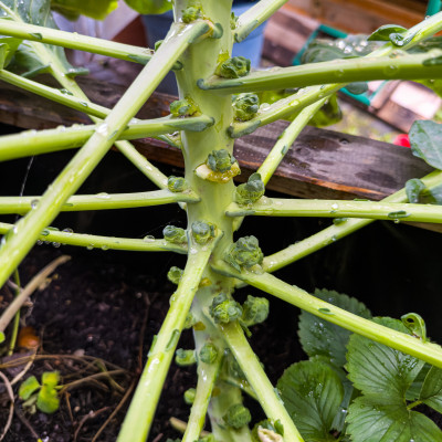 2025.08.297.23.07  iphone6 pro uhd    