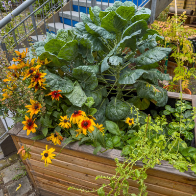 2025.08.297.23.29  iphone6 pro uhd    