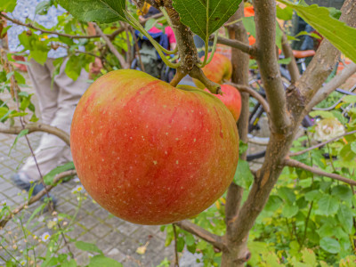 2025.08.297.24.51  iphone6 pro uhd    