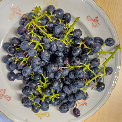 2025.08.297.32.48  iphone6 pro uhd    