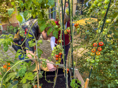 2025.09.125.42.06  iphone6 pro uhd    