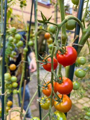 2025.09.125.42.53  iphone6 pro uhd    