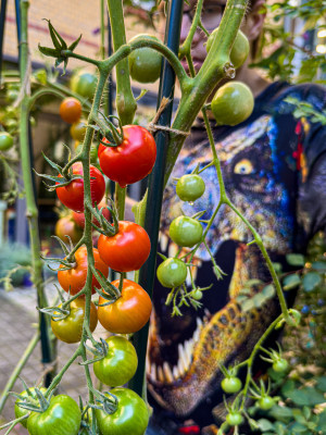 2025.09.125.42.57  iphone6 pro uhd    