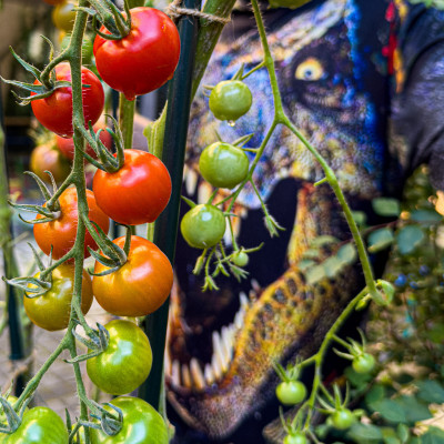 2025.09.12 15.42.57  iphone 16 pro uhd    