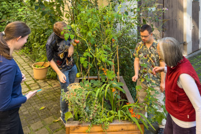 2025.09.125.43.07  iphone6 pro uhd    