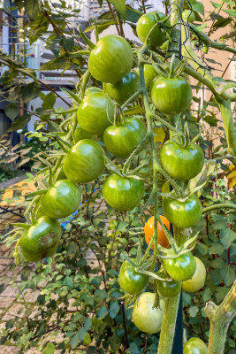 2025.09.125.44.29  iphone6 pro uhd    