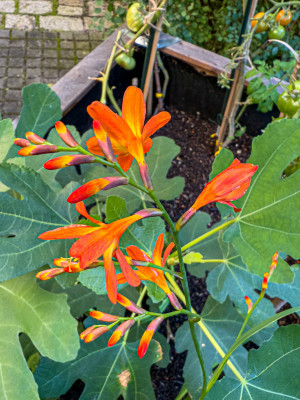 2025.09.125.45.40  iphone6 pro uhd    