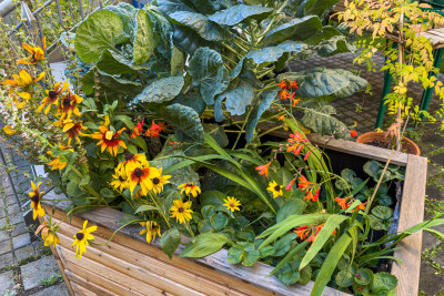 2025.09.125.46.26  iphone6 pro uhd    