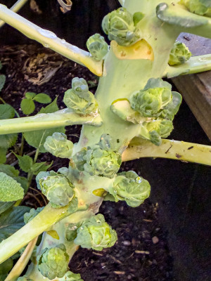 2025.09.125.46.46  iphone6 pro uhd    