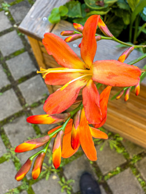 2025.09.125.47.05  iphone6 pro uhd    