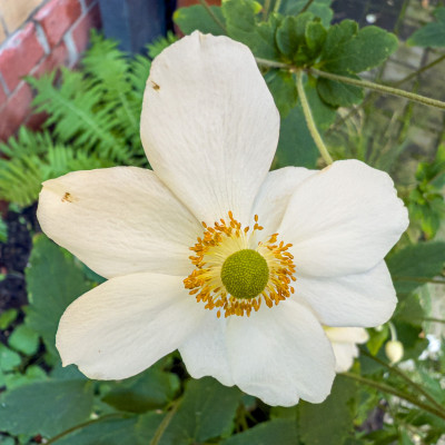 2025.09.125.47.54  iphone6 pro uhd    