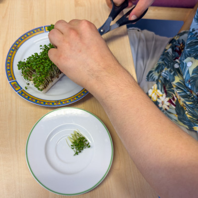 2025.09.125.50.06  iphone6 pro uhd    